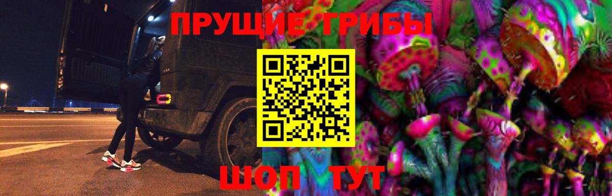 Галлюциногенные грибы Psilocybe Лесозаводск